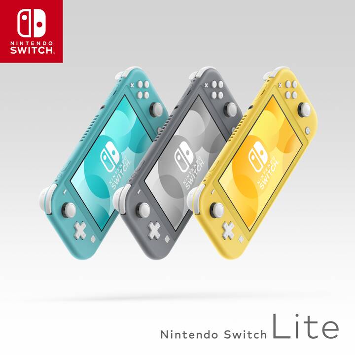 Nintendo Lite